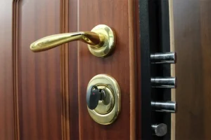 Problema Porta Blindata a Torino