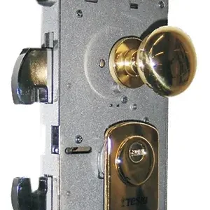 Assistenza Serrature Tesio a Torino